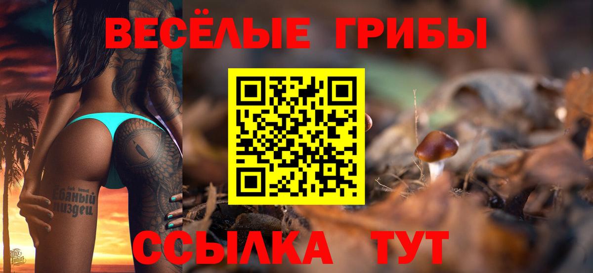 Псилоцибиновые грибы Magic Shrooms  Вход с VPN  Нижнеудинск 