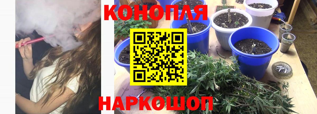 Бошки марихуана MAZAR  Шишки марихуана конопля  Вход с VPN  Конопля SATIVA & INDICA  Нижнеудинск 