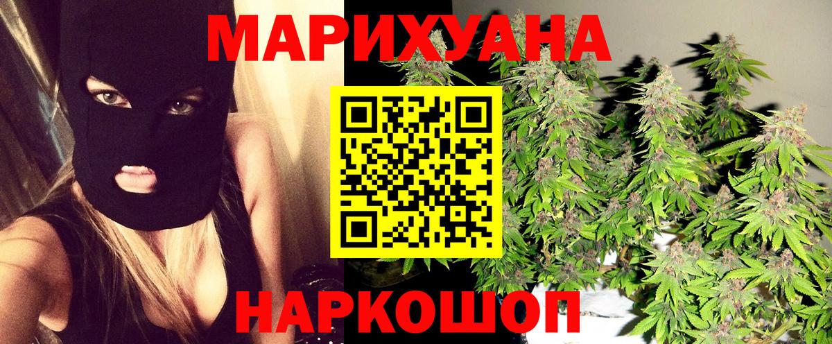 Конопля сатива Нижнеудинск